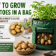 How to Grow Potatoes in a Bag