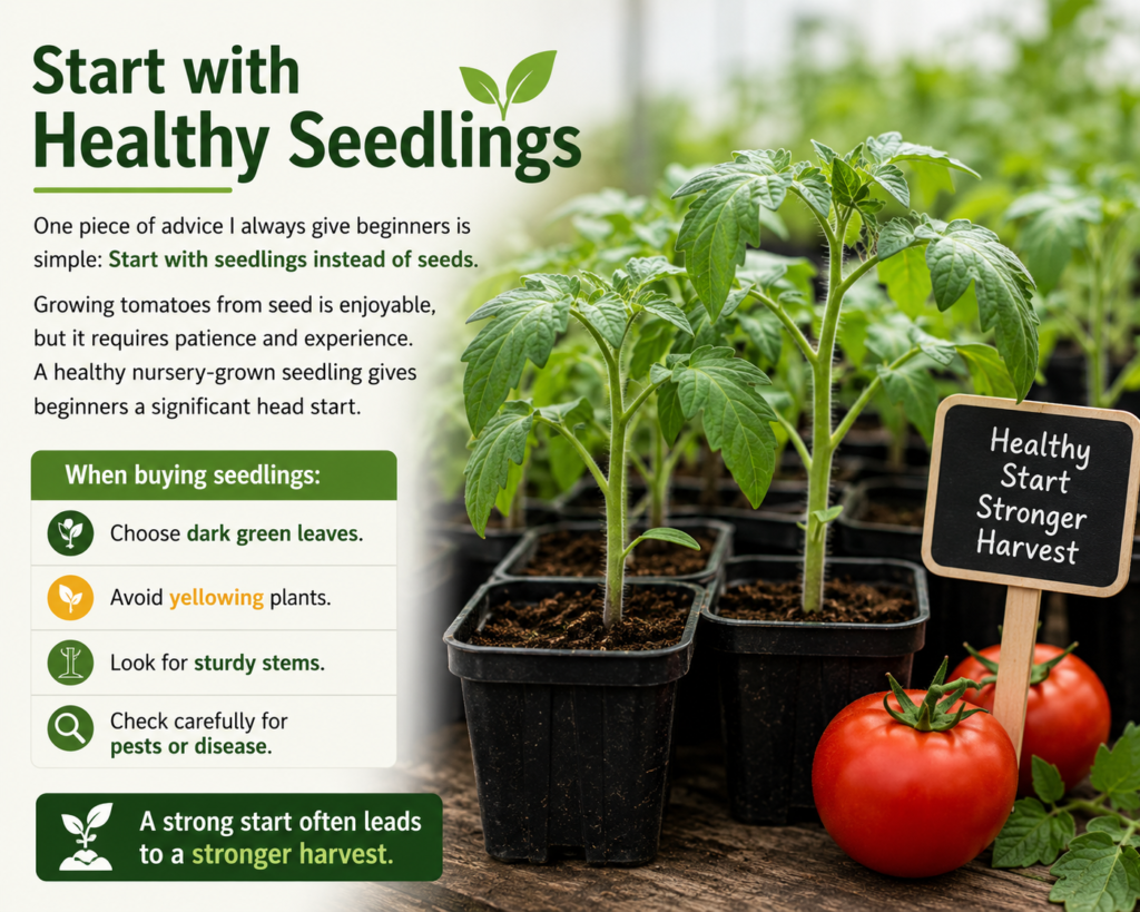 Start Healthy Seeding