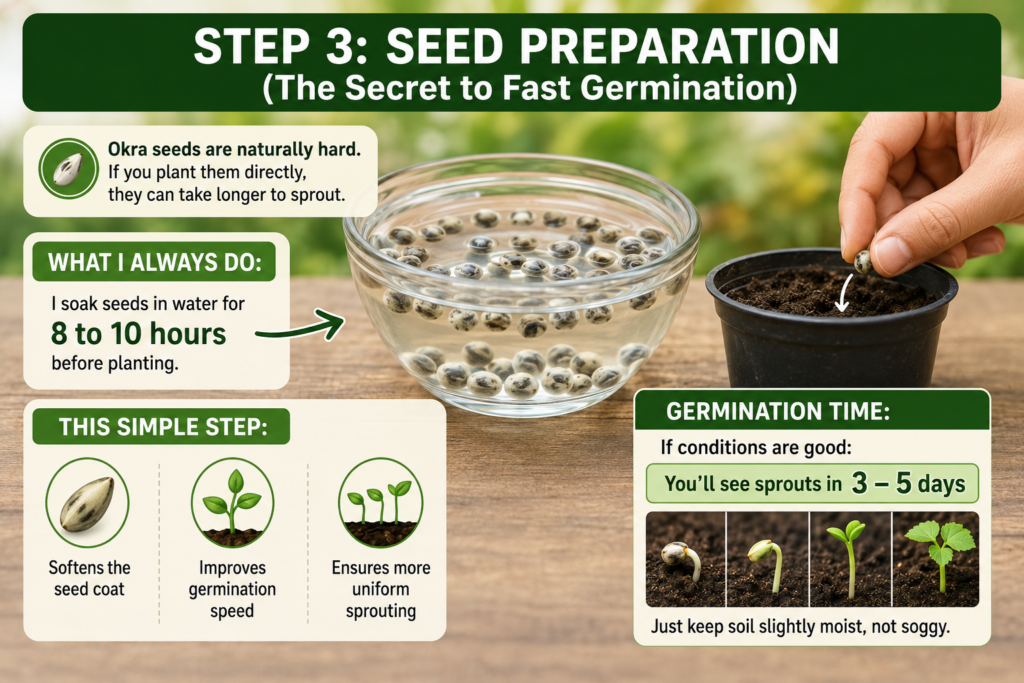 Step 3: Seed Preparation (The Secret to Fast Germination)