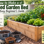 How to Make a Raised Garden Bed: The Easy Beginner's Guide