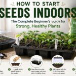 How to Start Seeds Indoors