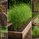 How to Grow Asparagus A Simple Guide to a Long-Lasting Harvest