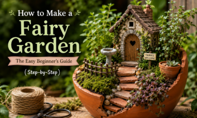 How to Make a Fairy Garden: The Easy Beginner's Guide (Step-by-Step)